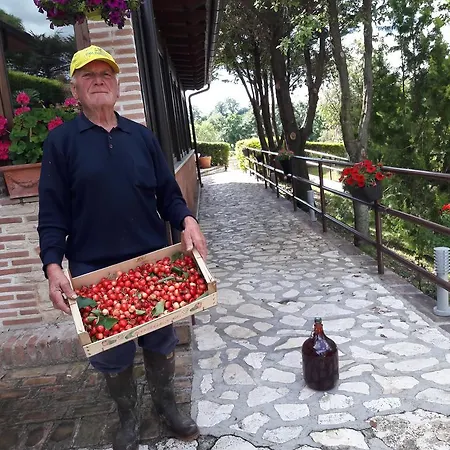 Tenuta La Ginestra